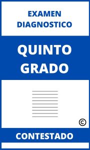 examen diagnostico quinto grado contestado con respuestas